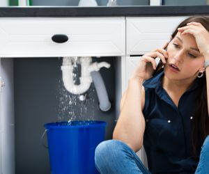 About Emergency plumbing pros New Hyde Park, NY